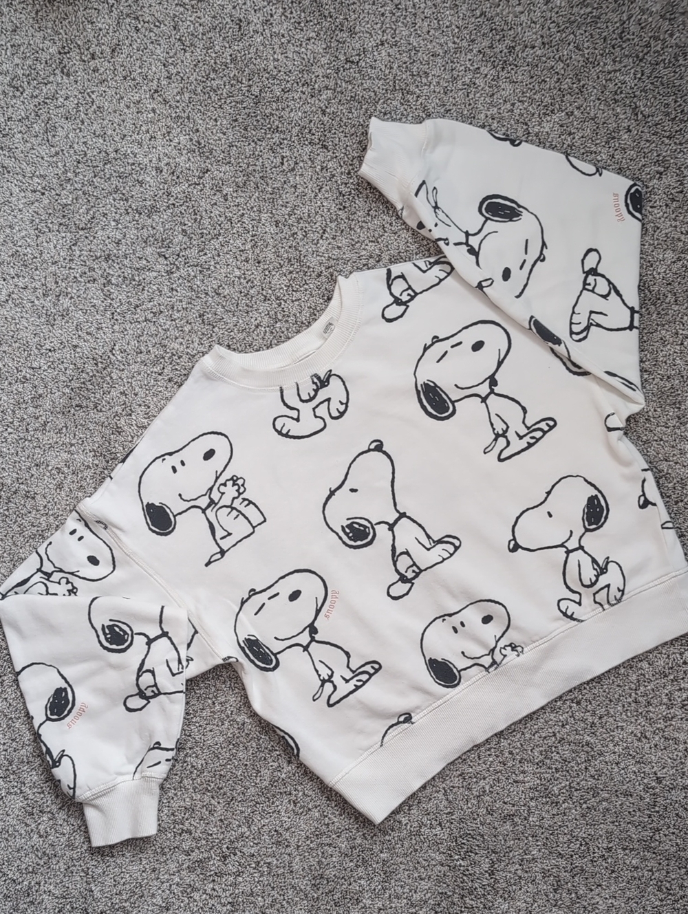 Girl's H&M Peanuts Collab Sweatshirt (Size 12/14)